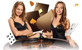 7 bets 7 bets